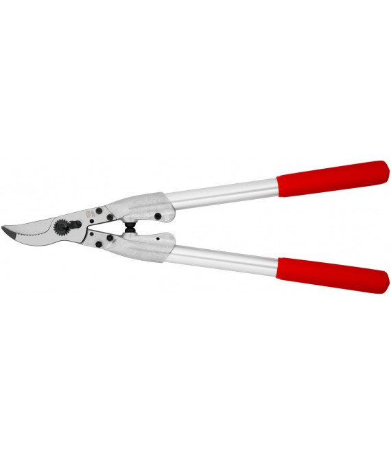 Two-Length 50 Cm (19.7 In.) - Straight Cutting Head